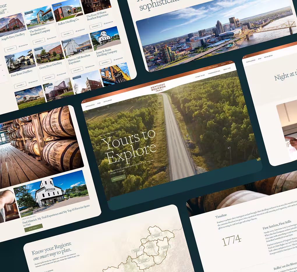 White Rabbit Group WordPress expertise and reliable partnership benefits